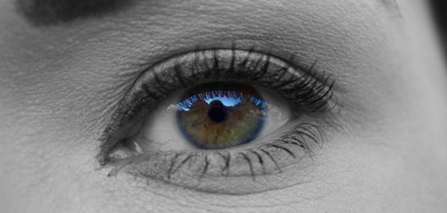 برنامج عدسات العيون للايفون
