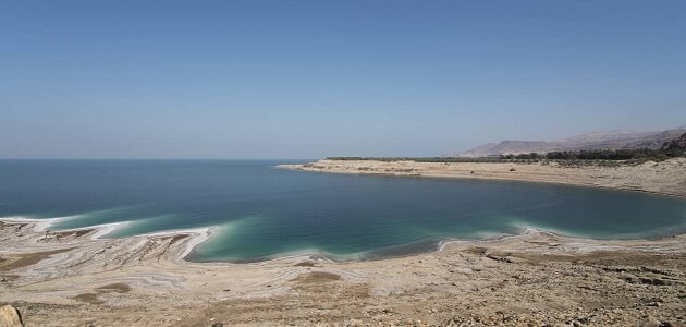 Почему его называют Мертвым морем?