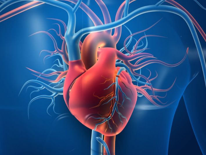 كم يعيش مريض ضعف عضلة القلب