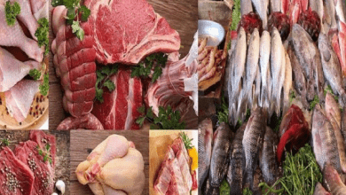 تراجع أسعار الدواجن فى الأسواق المصرية- أسعار اللحوم والاسماك اليوم