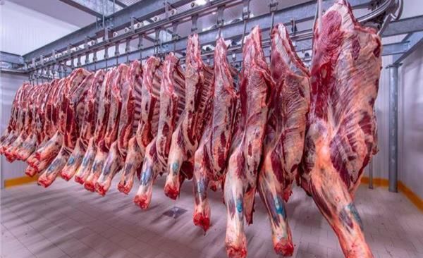 تصل إلى 40%..عروض على أسعار اللحوم في معارض أهلا رمضان