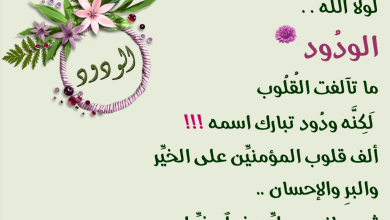 مساجد شمال سيناء تتحدث عن موضوع «أسماء الله الحسنى» في خطبة الجمعة الموحدة