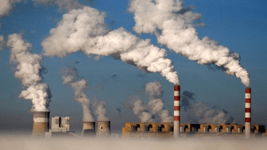 سوق الكربون.. مصر تنتظر عوائد بمليارات الجنيهات في 2024