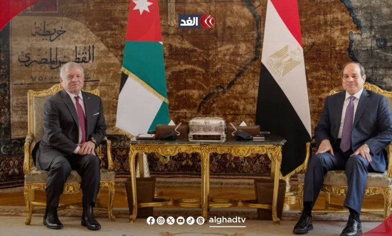 قمة مصرية أردنية لرفض تصفية القضية الفلسطينية