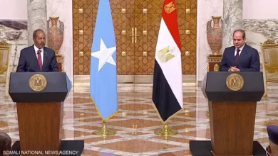 Деятельность президента Сиси за неделю: прием президента Сомали и министра иностранных дел России