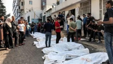 20 mártires y 150 heridos en una masacre israelí contra familias palestinas que esperan ayuda en Gaza